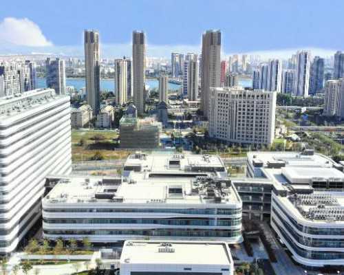 辅助生殖指南：借卵助孕医院排名、费用与成功率深度解析