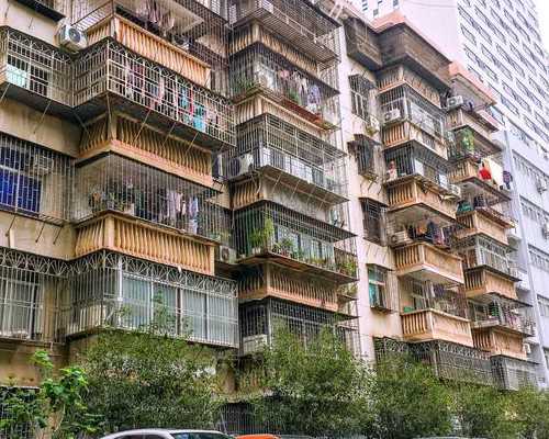 试管婴儿成功率与胚胎筛查：辅助生殖助孕之路的全面解析