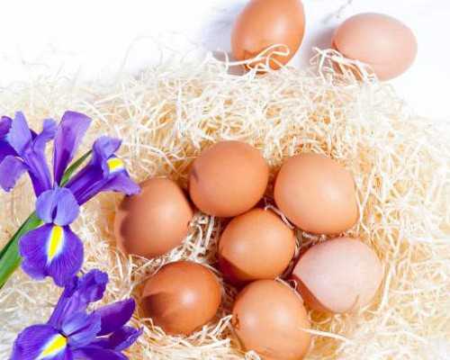 揭秘地下助孕乱象：非正规捐精的风险与辅助生殖考量