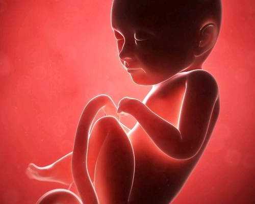 合肥辅助生殖：三代试管与供卵代怀助孕指南，了解代生女孩与机构选择