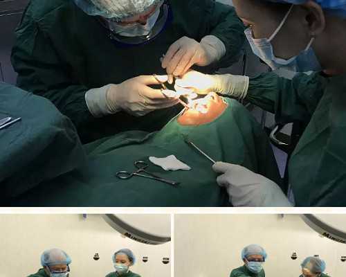 供卵供精试管助孕：辅助生殖方案与机构选择深度解析