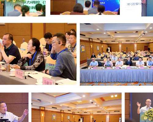 合肥供卵试管助孕指南：了解辅助生殖与代生流程